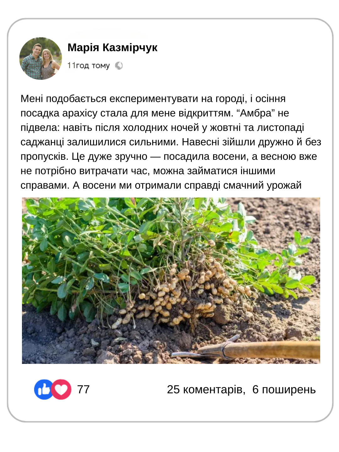 Заголовок